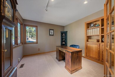 30002 Troutdale Ridge Rd, Evergreen, CO 80439 - photo 5