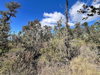 92-8805 Leilani Pkwy, Ocean View, HI 96737 - photo 7