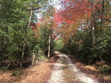 199 Laurel Forest Dr, Tamassee, SC 29686 - photo 7