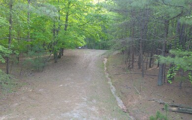 Additional View