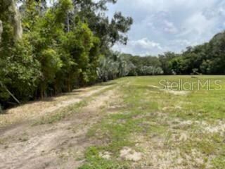 6015 Eureka Springs Rd, Tampa, FL 33610 - photo 2