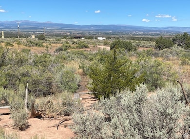 18245 Caravan Ln, Duchesne, UT 84021 - photo 5