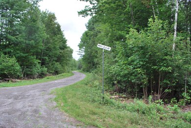 Lot 18 Moose Run Rd, Wellington, ME 04942 - photo 6
