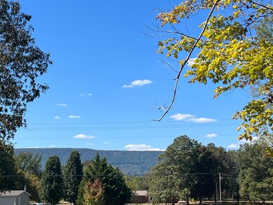 image_50443777