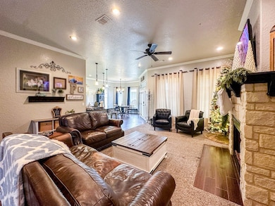 263 County Road 304c, Seminole, TX 79360 - photo 6