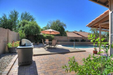 Backyard 1