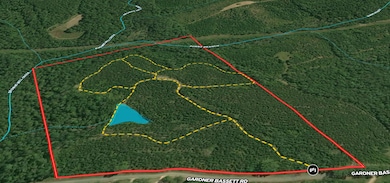 0 Gardner Bassett Rd, Troy, AL 36081 - photo 2