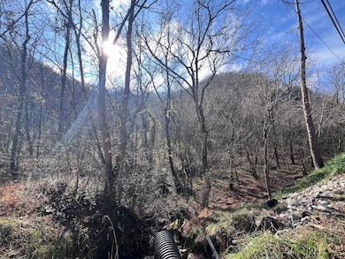 99999 Ky 2030, Martin, KY 41649 - photo 7