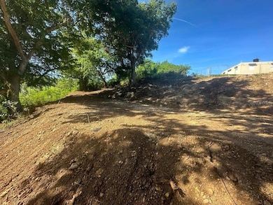 Carr 485 Carr 485, Camuy, PR 00627 - photo 5