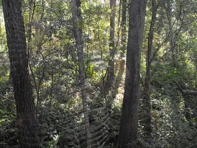 4507 Ortega Farms Cir, Jacksonville, FL 32210 - photo 4