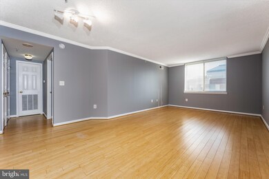 3835 9th St N unit 1002W, Arlington, VA 22203 - photo 4