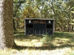 5353 W 32nd St, Baldwin, MI 49304 - photo 4