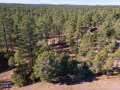 Tall Pines