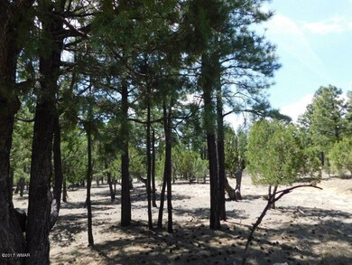 3436 Ponderosa Loop (7)