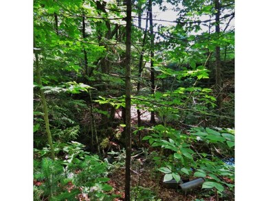 0 20 Mile Stream Rd, Cavendish, VT 05142 - photo 3