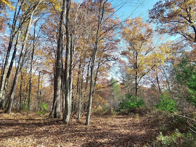 French Rd, Amberg, WI 54156 - photo 4