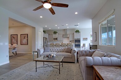10207 W Hedge Hog Pl-large-007-18-Living