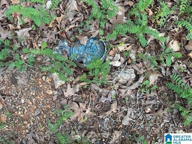 0 Davis Acres Dr unit 72 & 73 21417315, Alpine, AL 35014 - photo 4