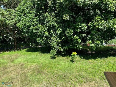 Arboles frutales
