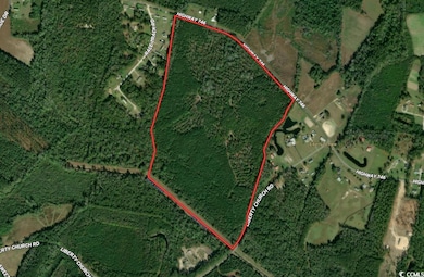 tbd Highway 746, Loris, SC 29569 - photo 2