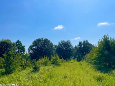 0 Albert Evans Rd unit 335684, Wilmer, AL 36587 - photo 4