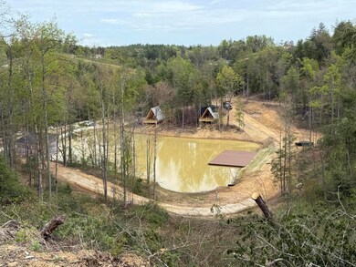 Future community pond, and pool hall