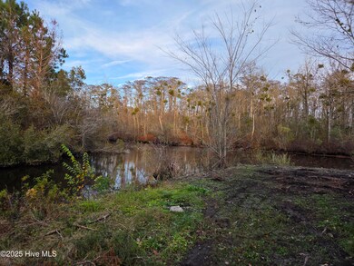 323 E Chatham St, Newport, NC 28570 - photo 6