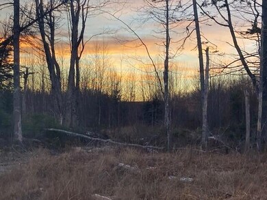 Jonesport land photo 2