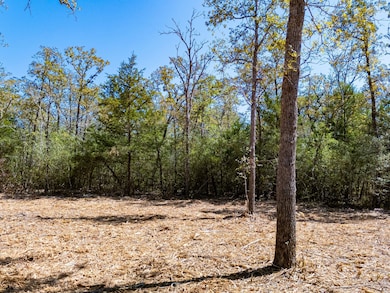 12191 County Road 414, Somerville, TX 77879 - photo 4