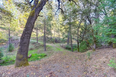 26355 Barb Wire Ln, Colfax, CA 95713 - photo 5