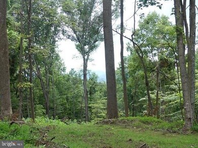 LOT 31 Blandemar Dr, Samuel Miller, VA 22903 - photo 4