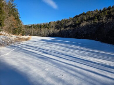 00 Chateauguay Rd, Barnard, VT 05031 - photo 6