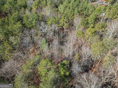 1361 Soque Ridge Cir, Demorest, GA 30535 - photo 7