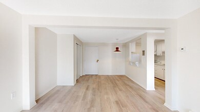 26 Waverly St unit 403, Brighton, MA 02135 - photo 5