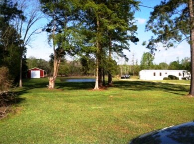 Pond