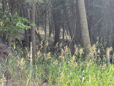 Plenty of marketable lumber