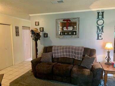 4112 County Road 461a, Brazoria, TX 77422 - photo 4