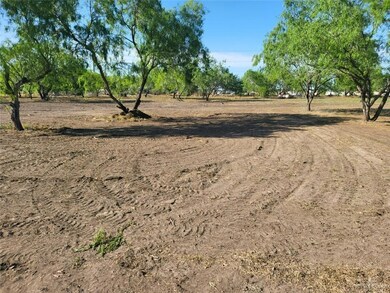 401 E Wisconsin Rd, Donna, TX 78537 - photo 6