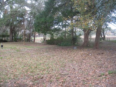 More Back yard looking to creek