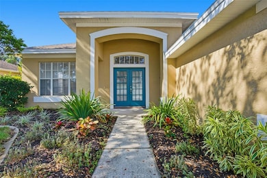 342 Mane Ct, Tarpon Springs, FL 34688 - photo 3