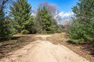 0 Lots 7 & 8 N Wilvan Dr unit 23014064, Bitely, MI 49309 - photo 5