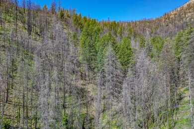 XX Humbug Rd, Yreka, CA 96097 - photo 7