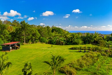 4650 Uha Rd, Lawai, HI 96765 - photo 2