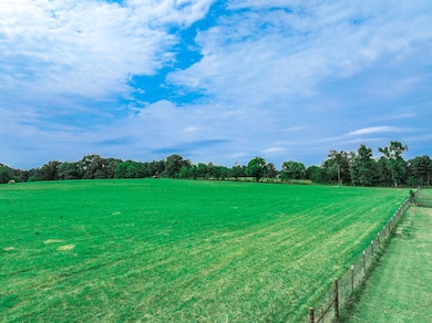 000 County Road 4200, Daingerfield, TX 75638 - photo 2