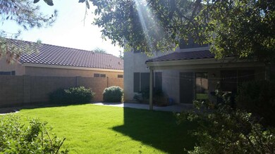 Back Yard 3
