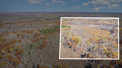 3385 Jones Rd, Beaverton, MI 48612 - photo 6