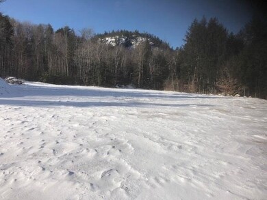 00 U S 302 unit Lot 2, Glen, NH 03838 - photo 3