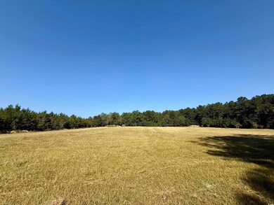 28+/- Acres-TBD Frank Cribb Rd, Georgetown, SC 29440 - photo 6