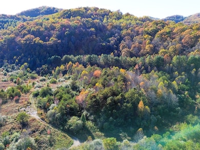 0 White Oak Rd, Duff, TN 37729 - photo 4