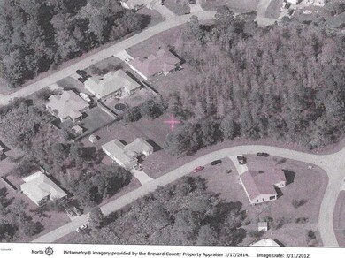 Birds Eye Aerial